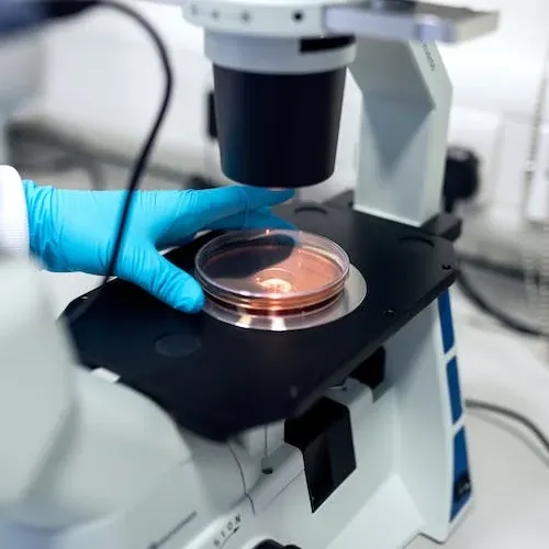 Biología Experimental