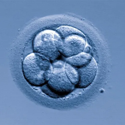 Biología de la Reproducción Animal